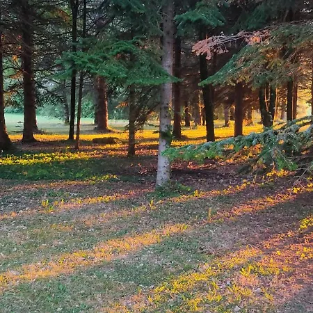 Bed & Breakfast Le Bois Des Fees De Chazelles