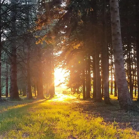 Le Bois Des Fees De Chazelles 3* Chazelles (Charente)