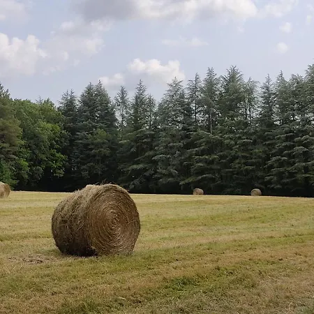 Le Bois Des Fees De Chazelles Chazelles (Charente)