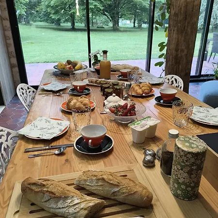 Le Bois Des Fees De Chazelles 3* Chazelles (Charente)